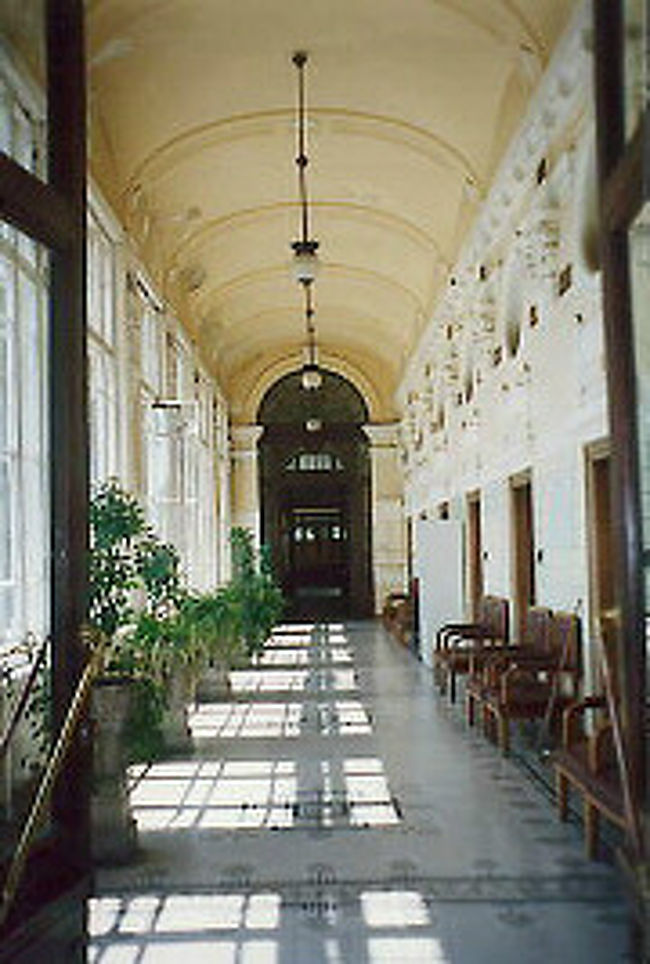 温泉内の通路<br />建物の外観・内観とも<br />めちゃゴージャス<br />各種治療プログラムや<br />マッサージサービスあり