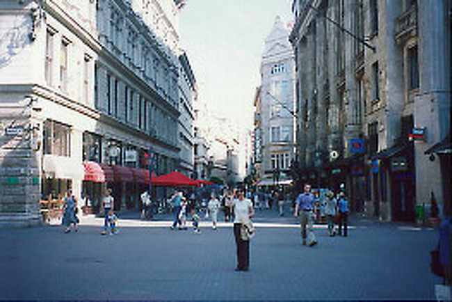 ペスト地区の<br />メイン・ショッピングストリート