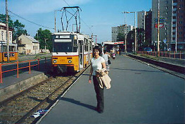 行き先を決めずに路面電車に乗って<br />終着駅に到着<br />住宅地のようだけど、一体ここはどこ？