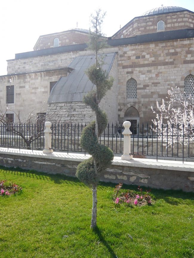 面白い形にカットされている木がありました。