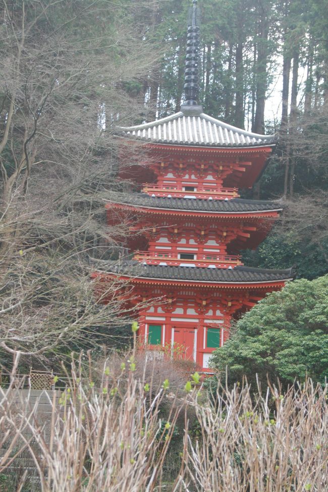 京都古寺散策 京都 閑静な西京エリアで古寺散策と紅葉散歩 | とっておきの京都
