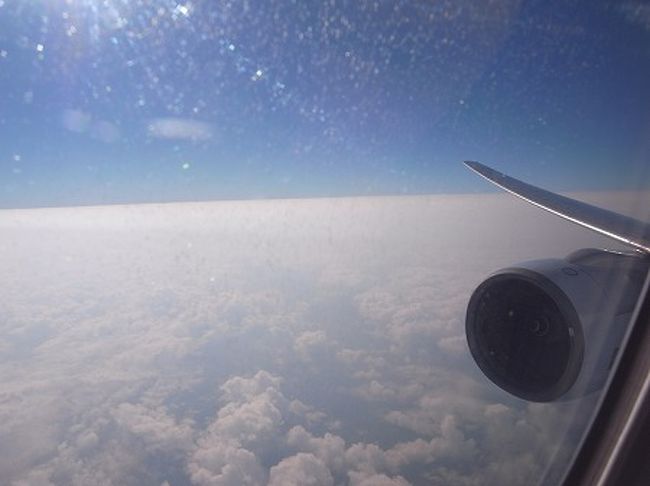 南に向かって飛行します。