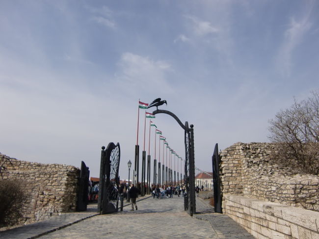 まぁ、気にせず歩きます。