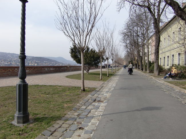 とても素敵な散歩道。