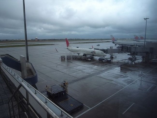 右隣はJALのB737、こちらも関西行きです。<br /><br />エバ-、チャイナ、JAL の順で5分差で関西に向かいます。