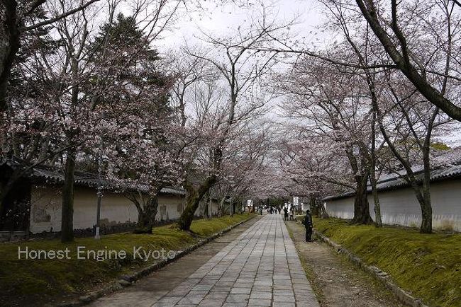 今回は「三宝院」のお庭を見ず「霊宝館」の宝物を鑑賞。<br />右側には花見の屋台も出ていました。