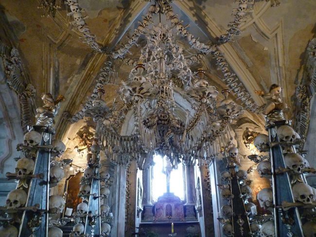 カルシウムたっぷりのシャンデリア！