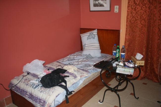 フレンドの列車のチケットが購入できなかったので<br />あすの朝<br />飛行機で直接アブシンベルへ行くことにしました<br /><br />旅行会社にてチケットを購入！！<br /><br />二人分購入するとの条件で　値切ると二人合わせて８０ポンド安くなりました　シャー！！<br /><br />夕食は近くのレストランで済まし、朝食用のコシャリをテイクアウト<br />今夜はパリスホテルで宿泊です