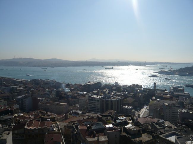 日差しがいい感じ