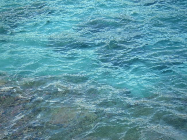 ズームインしてみた