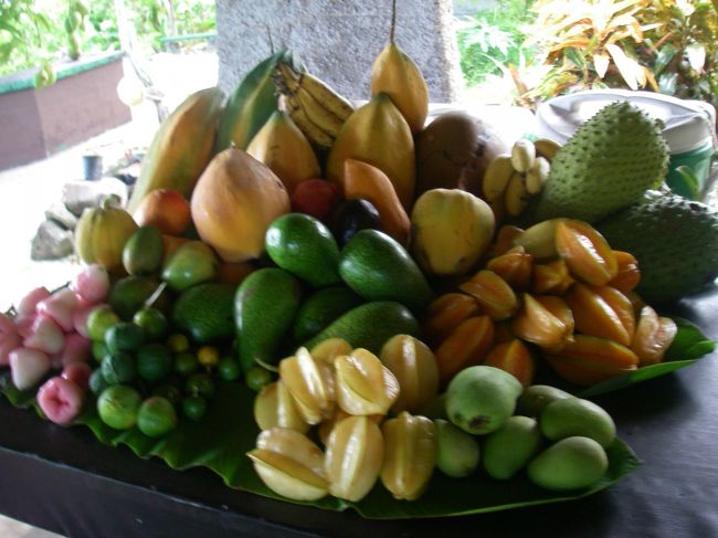 フルーツ園の入場料を払い、海へのエントリー権を得る。<br /><br />もうちょっと払ったらこのフルーツが食べ放題なんだけど、ただ入場するだけのチケットにしてしまった。