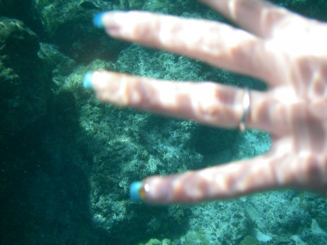 Tちゃんのネイルがロタブルーです