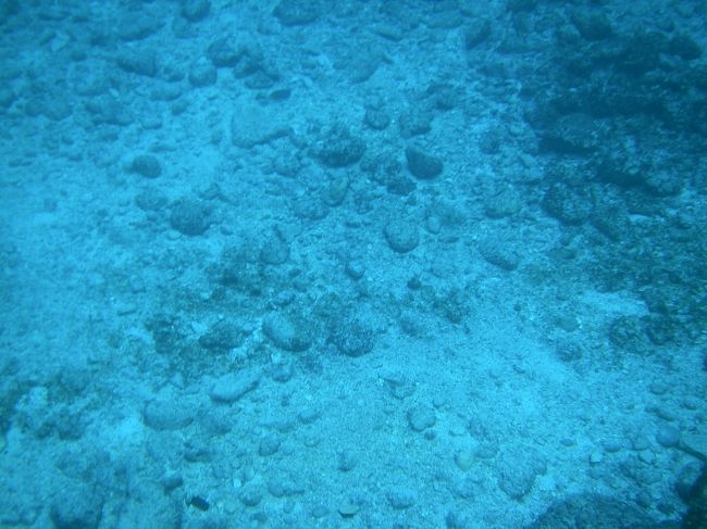 プールみたいなアオ。