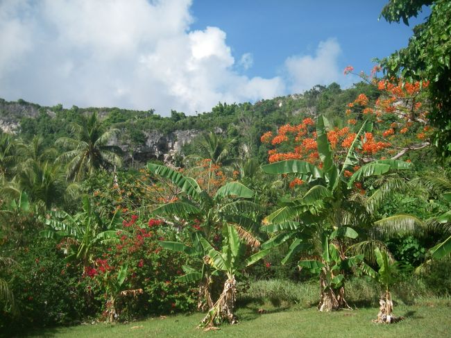 山側<br /><br />かなり自然が残っている。<br /><br />島の半分くらいは道が舗装されていなかったので、ここに来る途中から砂利道だった。