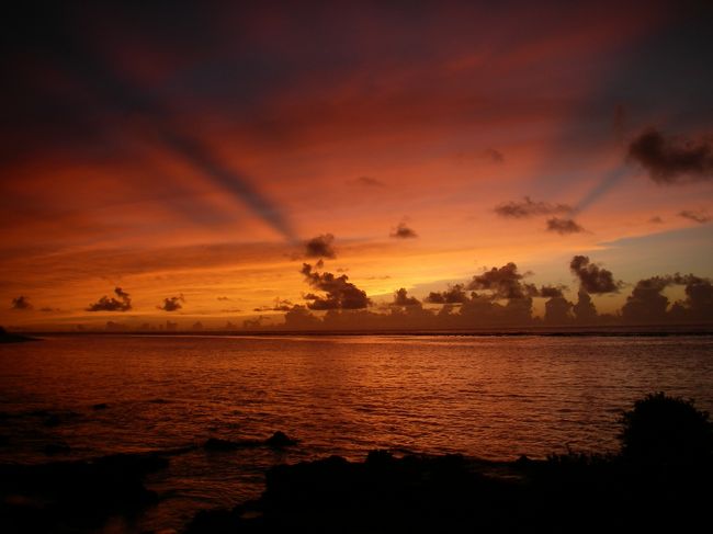 どんどん色が変わる