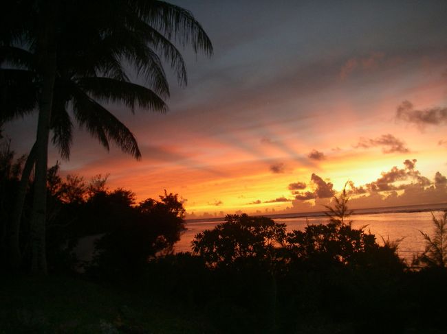 それにしてもザ・南国！