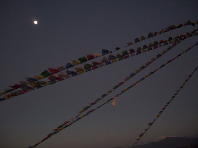 <br />満月です。