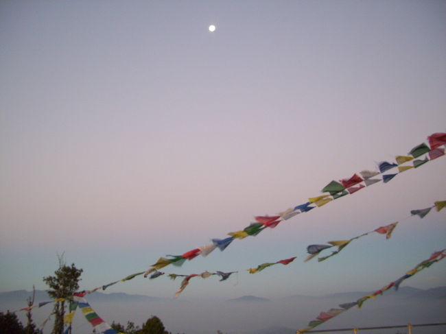 <br />まだ月がでてます。