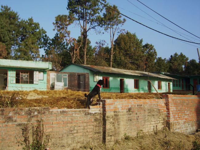 <br />結局ナガルコットには2日間居ました。<br /><br />1日じゃ無理だわ。<br /><br />名残惜しい土地でした。