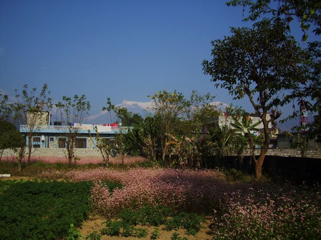 <br />とっても癒されます。<br /><br />ポカラは小さい街です。」