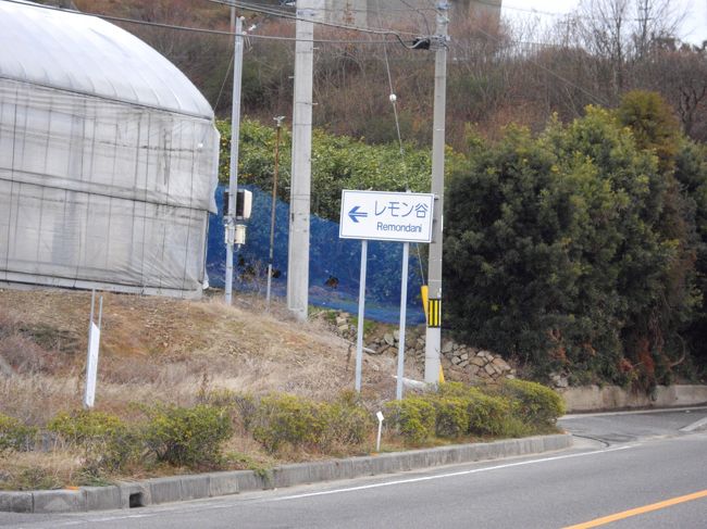 3 レモン谷をめざして 生口島サイクリング しまなみ海道 因島 生口島 向島 広島県 の旅行記 ブログ By ジャカランダさん フォートラベル