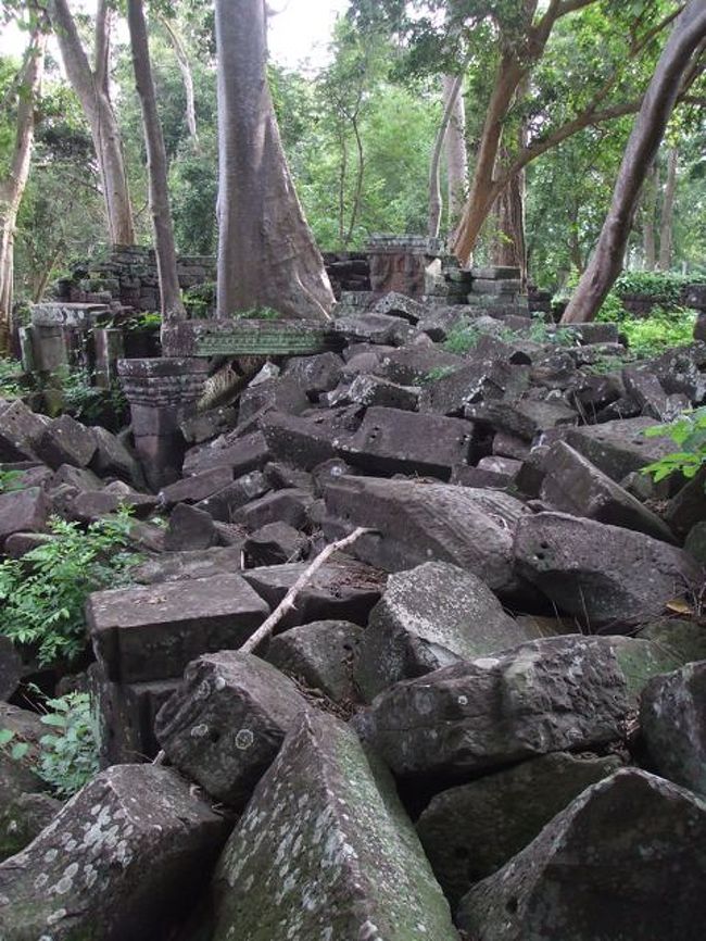 しかし、自然の力はすごい。