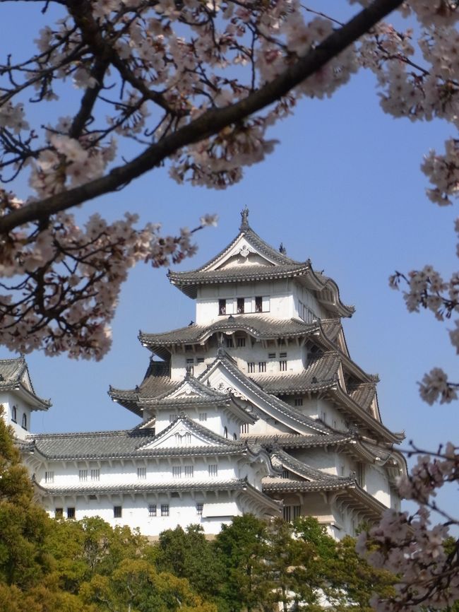 10 04姫路 日帰り キティカフェ 姫路城の桜 姫路 兵庫県 の旅行記 ブログ By Emily121さん フォートラベル