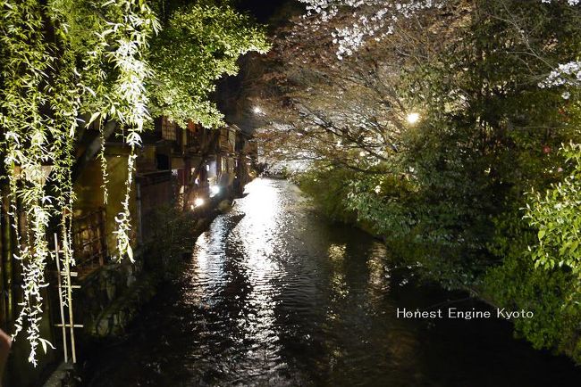 白川の下流方向。
