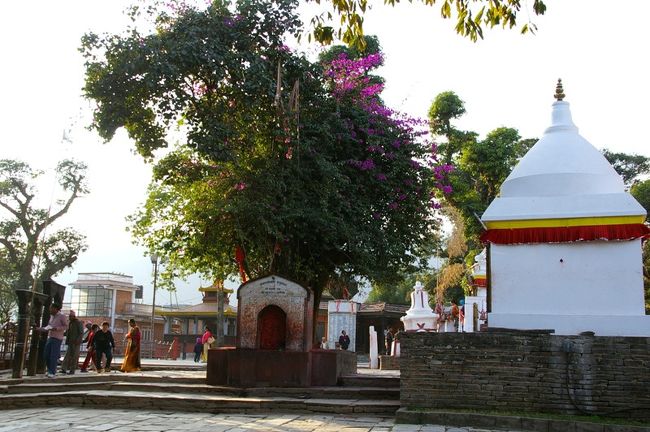 ポカラのビンドゥバシニ寺院
