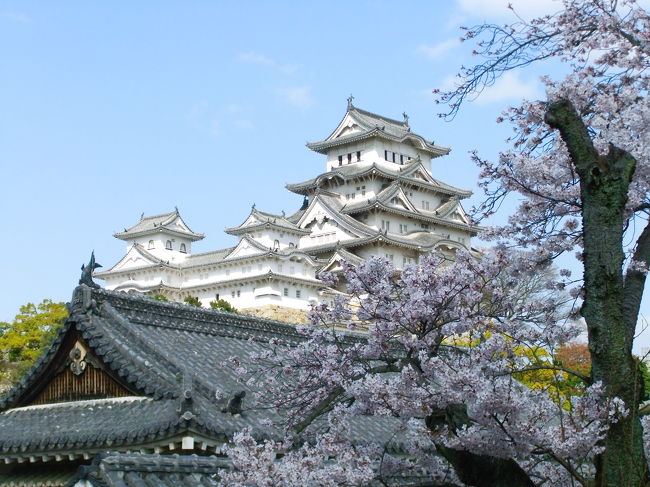 姫路城 10春 桜を求めて 平成の大修理直前の桜シーズン キティカフェ 姫路 兵庫県 の旅行記 ブログ By ヴォルさん フォートラベル