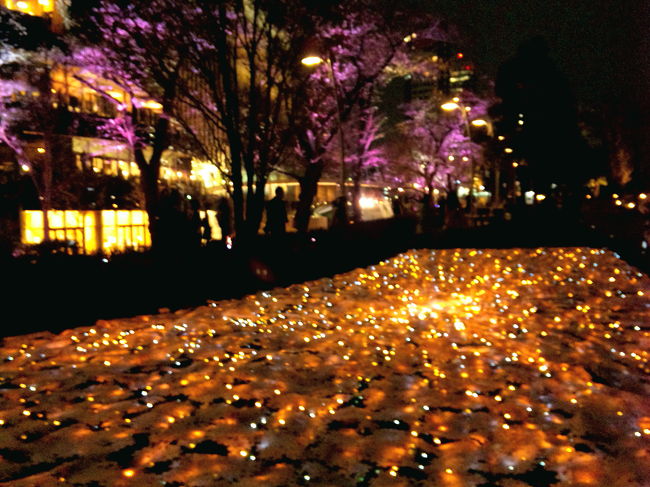 春さんぽ③夜桜というより桜イルミ！幻想的なミッドタウン＆ヒルズ