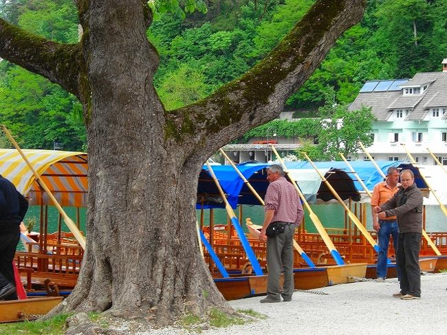 ボート乗り場 <br /><br />手漕ぎボートで湖を渡り　ブレット島に行きます 