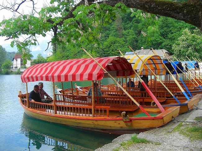 ボート　往復10ユーロ　　<br /><br />ブレッド島入域料　3ユーロ 