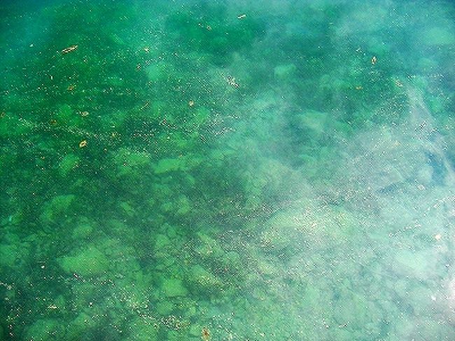 太陽の光の反射により湖面が <br /><br />蒼く見えたり　エメラルドグリーンだったり　<br /><br />キラキラ光ったり 透明度もありますね〜♪<br /><br />夏は　ブレッド島まで泳ぐ人もいるそうです <br /><br />