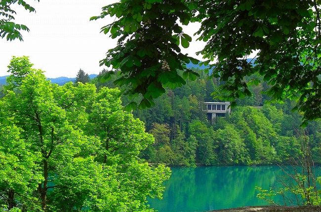 ヽ(*^^*)ノうっとり〜♪ 