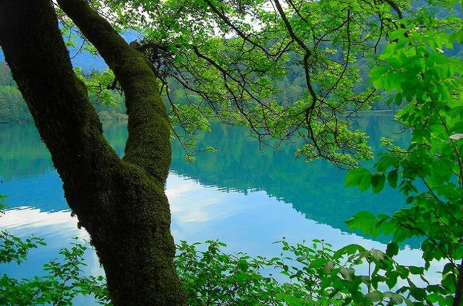 願いは叶わす　女性はその後　尼僧となり <br /><br />修道院で一生を　終えたといわれています <br /><br />