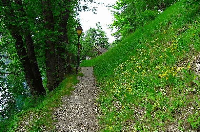 可愛い小さなブレッド島を一周・・・かな！ <br />