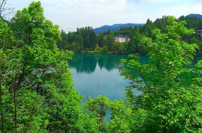 ブレッド湖に新緑の木々が映り　<br /><br />青空も映り輝いています