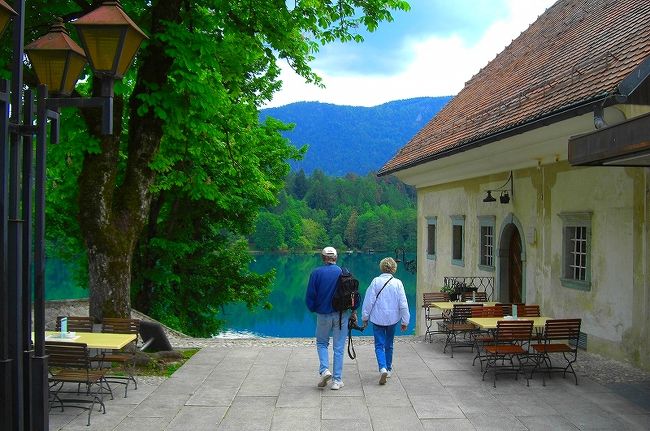 何処にカメラを向けても　絵になります 