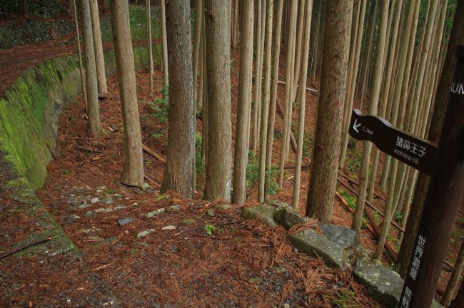 猪ノ鼻道路