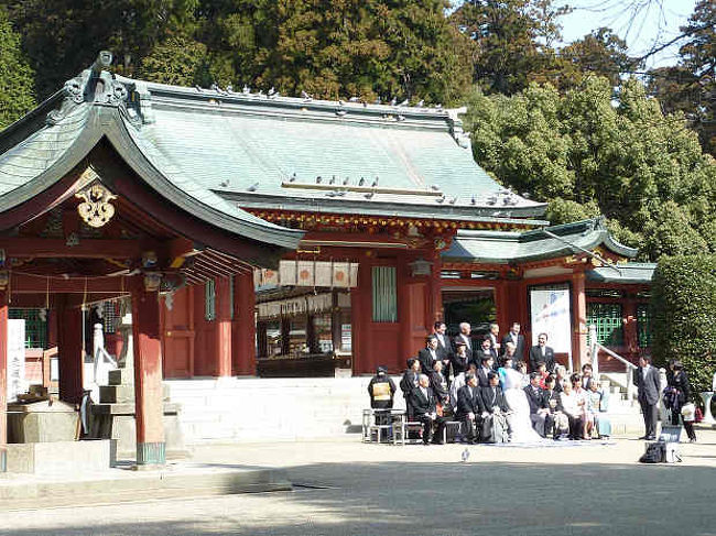 梅は咲いたが 桜は まだか 多賀城 塩釜 利府 宮城県 の旅行記 ブログ By Sintabiさん フォートラベル