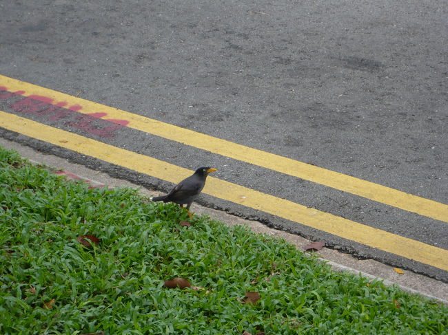 そんなこんなで1日目＆2日目は終了〜<br /><br />おやすみなさ〜い