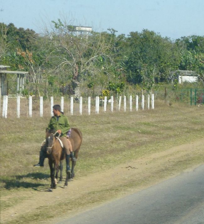 トリニダー→バラデロ。馬で闊歩。