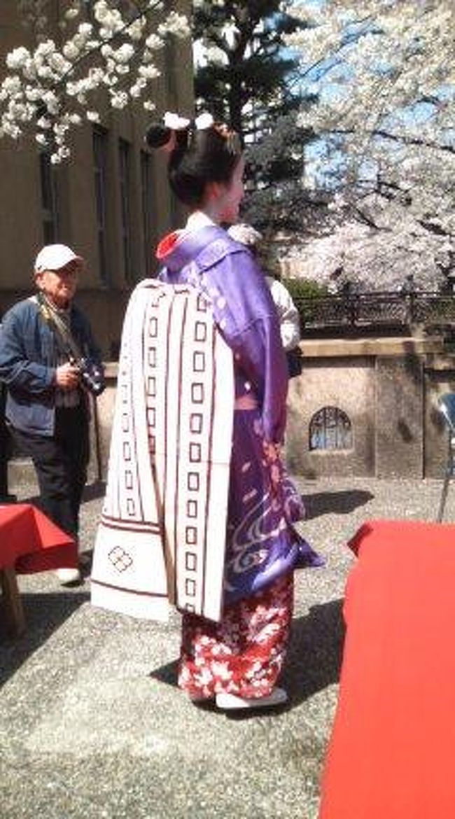 村上隆 もののけ 京都 ポスター 京都の舞妓さん 赤に桜