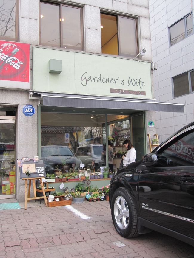 景福宮の「建春門」辺りの<br />かわいい鉢植え屋さん。