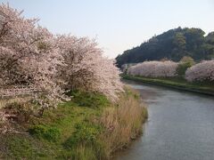 そして、大好きな桜のお花見。
いつもこの勝間田川にいきます。