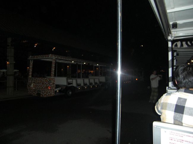 空港へ着いたら、久しぶりに友人と再会！<br />いきなりナイトサファリへ向かいました。とにかく暗くて動物たちがよく見えない・・・まさにナイトサファリ！って言っている間に終了。