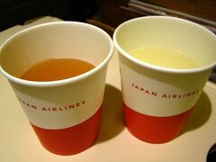 スープとゆずジュースをいただきます。
お抱えカメラマンは、このJALのゆずジュースが好物(^_^)




松山空港到着は21:20。
出発が45分遅れたにもかかわらず、到着の遅れは25分でした。