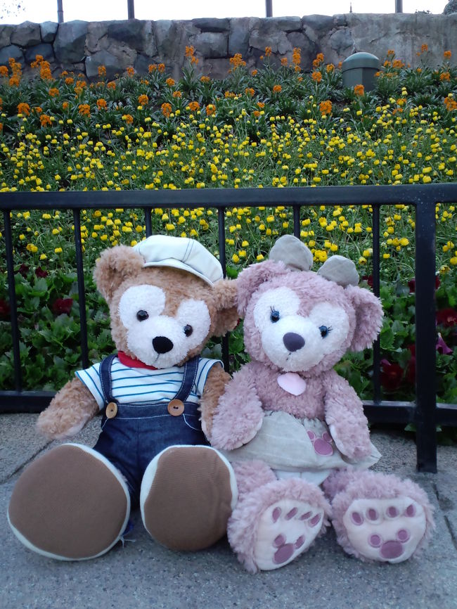 2015年 ＊ 東京ディズニーシーでの 
