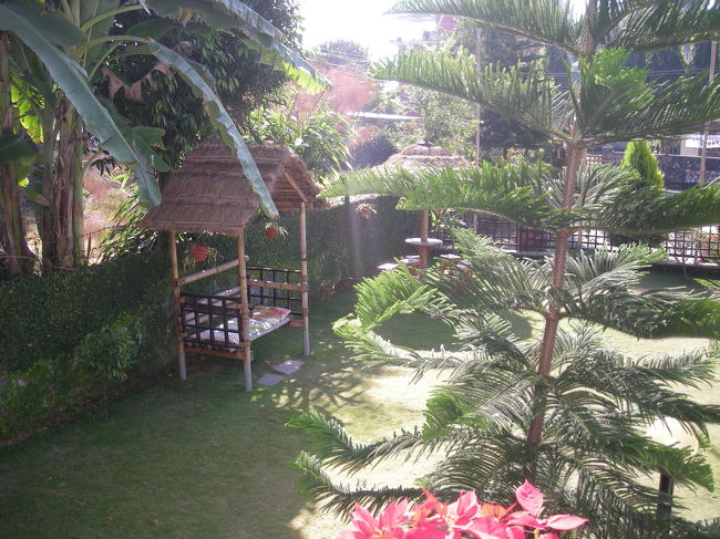 庭がとてもいい感じ。